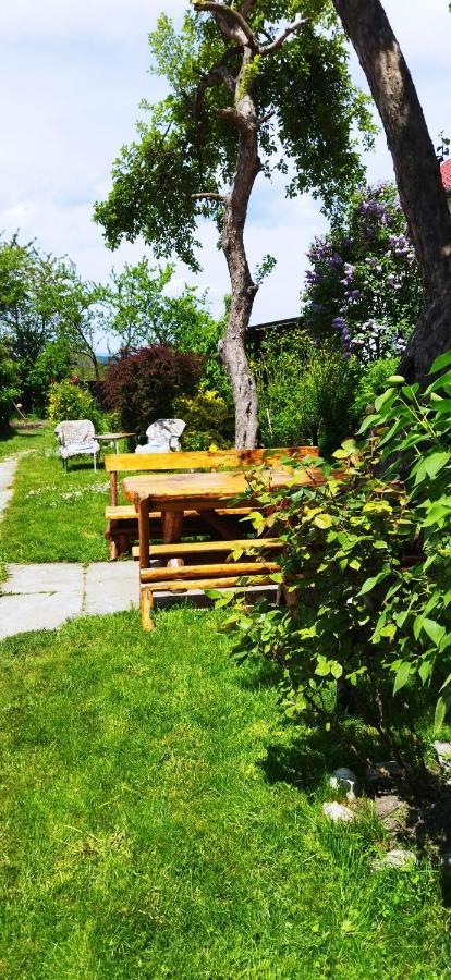 Casa Din Coltul Cetatii Villa Hărman Exteriör bild