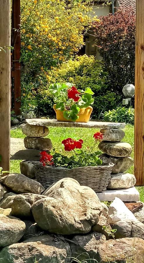 Casa Din Coltul Cetatii Villa Hărman Exteriör bild