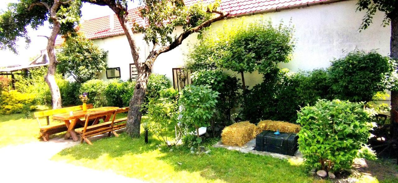 Casa Din Coltul Cetatii Villa Hărman Exteriör bild